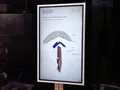 Messepräsentation für Louis Renner in Shanghai — Vorschaubild 2