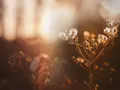 Website-Überarbeitung für die Stiftung Hub — Vorschaubild 1