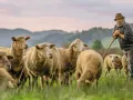 arte events — Vorschaubild 4