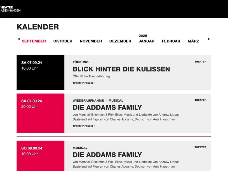 Digitaler Auftritt für das Theater Baden-Baden — Bild 5