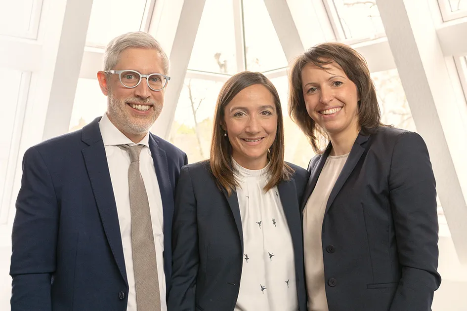 Notare FST — Ansicht des Projekts